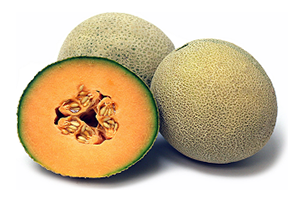 CANTALOUPE MELON CONCENTRATE