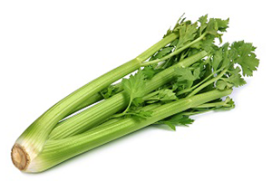 CELERY PUREE