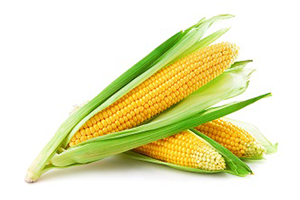 CORN PUREE